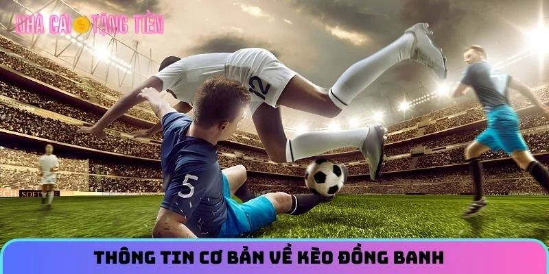 Thông tin cơ bản về kèo đồng banh